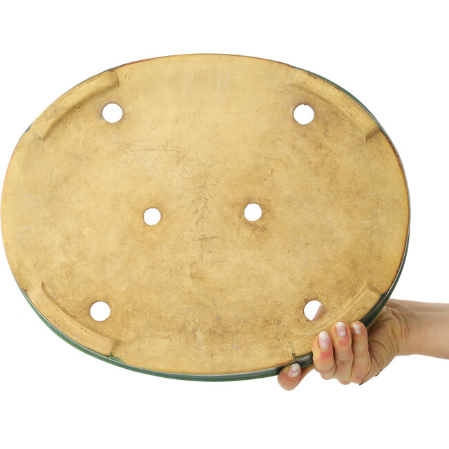 Maceta ovalada para bonsái de Shuhou, color verde azulado, 370 x 300 x 60 mm