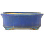 Pot à bonsaï ovale bleu de Shuhou - 335 x 265 x 95 mm