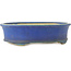 Vaso bonsai ovale blu di Shuhou - 335 x 265 x 95 mm