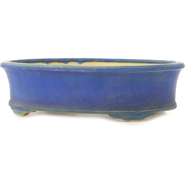 Pot à bonsaï ovale bleu de Shuhou - 335 x 265 x 95 mm