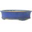 Vaso bonsai ovale blu di Shuhou - 335 x 265 x 95 mm