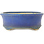 Vaso bonsai ovale blu di Shuhou - 335 x 265 x 95 mm