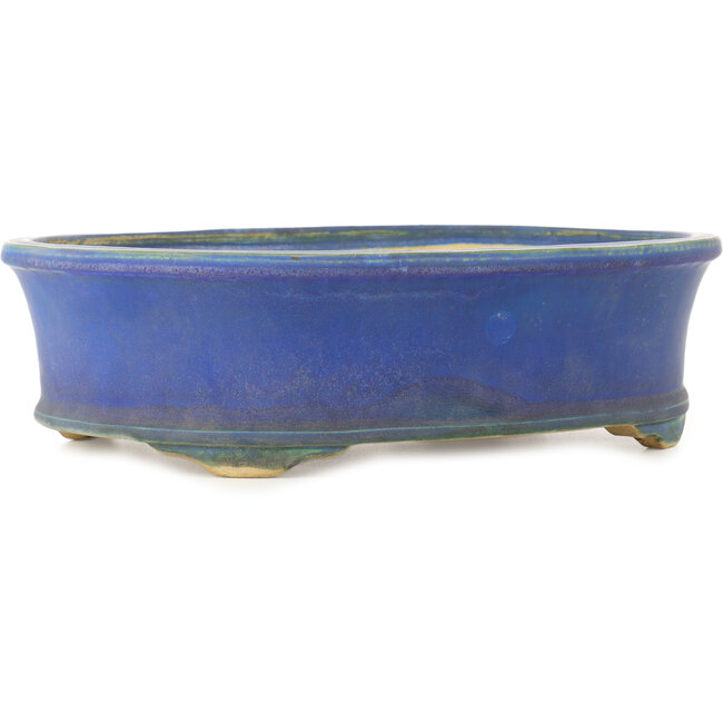 Oval blue bonsai pot by Shuhou - 335 x 265 x 95 mm
