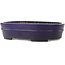 Pot à bonsaï ovale bleu foncé de Koyou - 410 x 290 x 98 mm