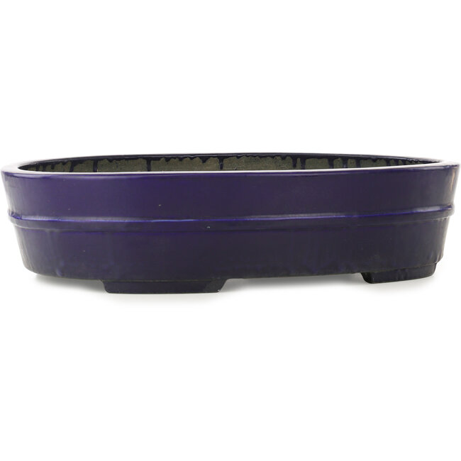 Oval dark blue bonsai pot by Koyou - 410 x 290 x 98 mm