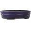 Pot à bonsaï ovale bleu foncé de Koyou - 410 x 290 x 98 mm