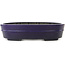 Pot à bonsaï ovale bleu foncé de Koyou - 410 x 290 x 98 mm