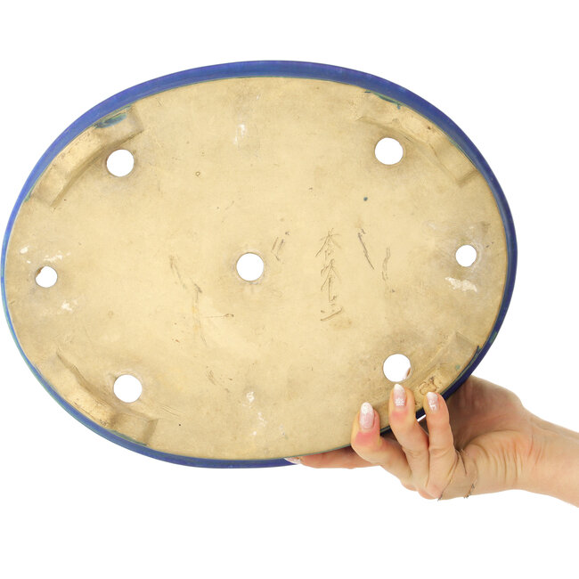 Maceta ovalada azul para bonsái de Shuhou - 335 x 265 x 95 mm