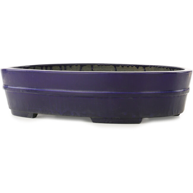 Oval dark blue bonsai pot by Koyou - 410 x 290 x 98 mm