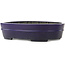 Pot à bonsaï ovale bleu foncé de Koyou - 410 x 290 x 98 mm