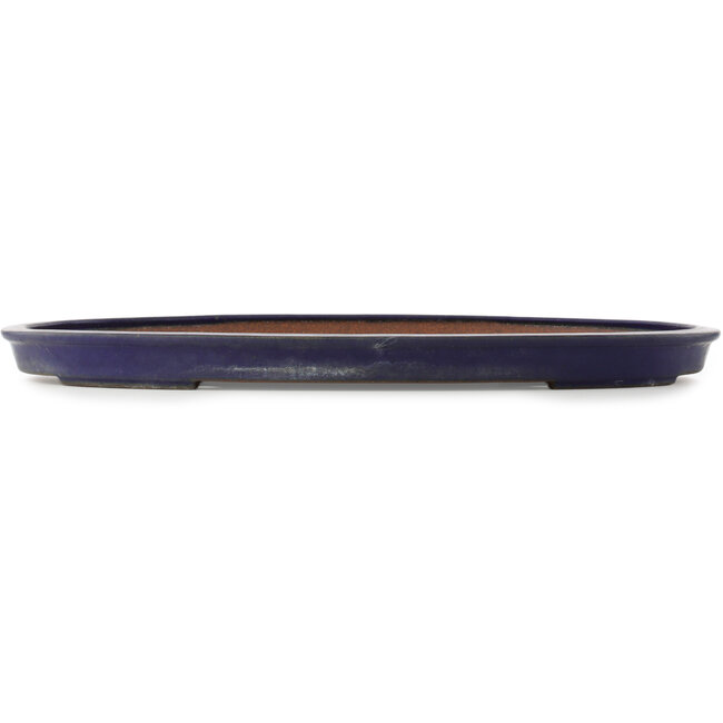 Pot à bonsaï ovale bleu foncé de Reiho - 495 x 355 x 38 mm