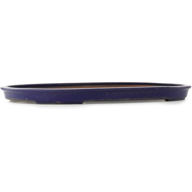 Pot à bonsaï ovale bleu foncé de Reiho - 495 x 355 x 38 mm