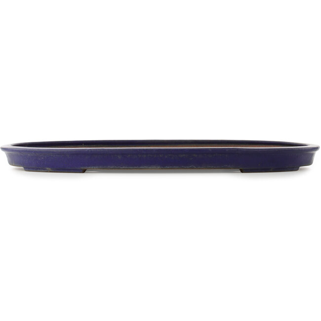 Oval dark blue bonsai pot by Reiho - 495 x 355 x 38 mm