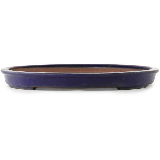Pot à bonsaï ovale bleu foncé de Reiho - 495 x 355 x 38 mm