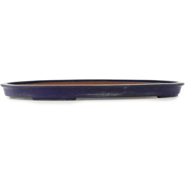 Pot à bonsaï ovale bleu foncé de Reiho - 495 x 355 x 38 mm