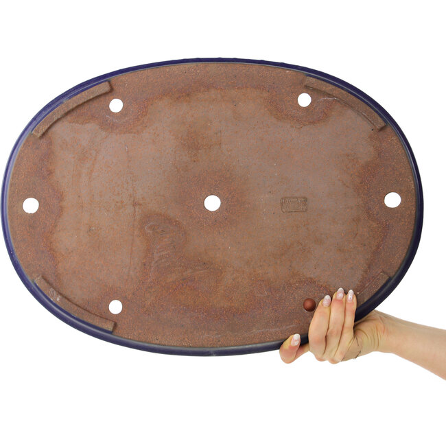 Oval dark blue bonsai pot by Reiho - 495 x 355 x 38 mm