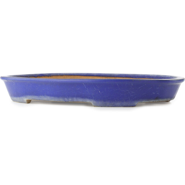 Ovale donkerblauwe bonsaipot van Yamafusa - 475 x 355 x 65 mm