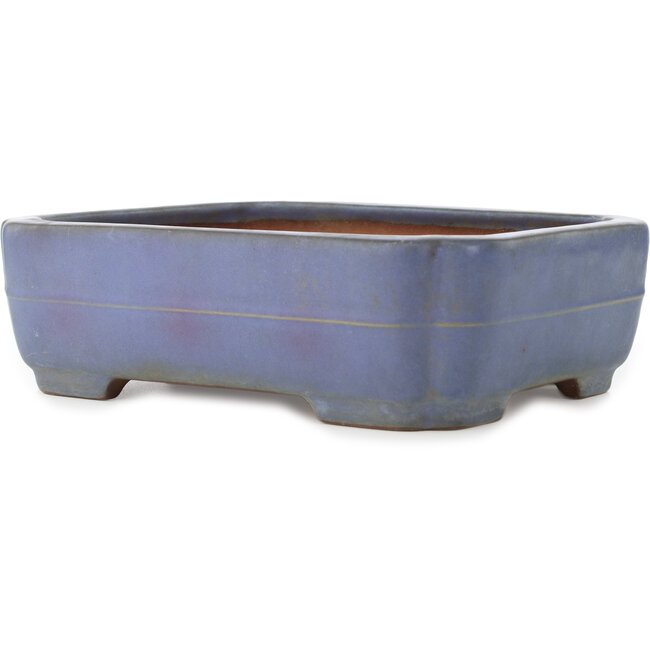 Vaso bonsai Mokko azzurro di Yamafusa - 305 x 235 x 90 mm