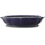 Vaso bonsai Lotus blu scuro di Shuhou - 400 x 400 x 85 mm