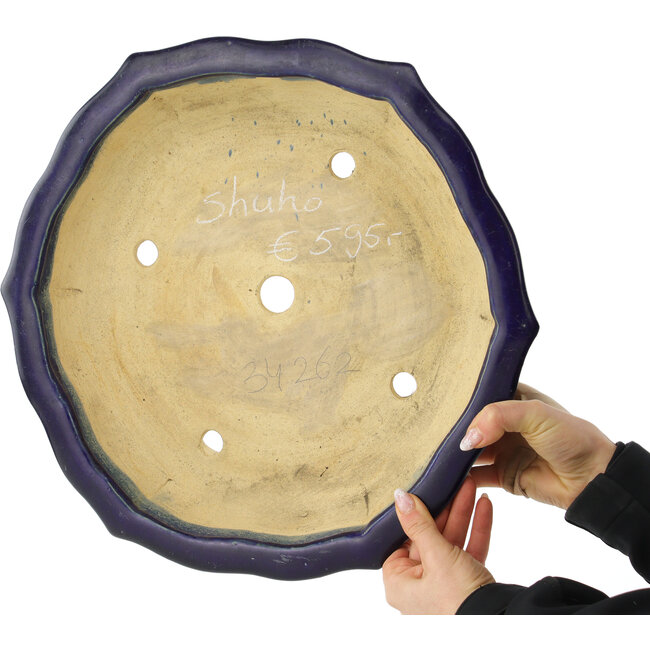 Maceta para bonsái con forma de loto azul oscuro de Shuhou - 400 x 400 x 85 mm