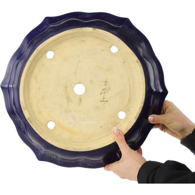 Vaso bonsai Lotus blu scuro di Shuhou - 400 x 400 x 85 mm