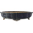 Lotus donkerblauwe bonsai pot van Hattori - 370 x 370 x 88 mm