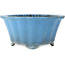 Maceta para bonsái de color azul claro con forma de flor redonda de Koyou - 310 x 310 x 145 mm