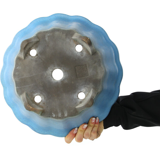 Ronde bloemvormige lichtblauwe bonsaipot van Koyou - 310 x 310 x 145 mm