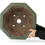 Maceta octogonal para bonsái de color turquesa de Yamaaki - 400 x 400 x 215 mm