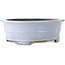 Oval light blue bonsai pot by Koyou - 415 x 360 x 140 mm