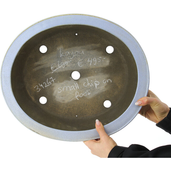 Pot à bonsaï ovale bleu clair de Koyou - 415 x 360 x 140 mm