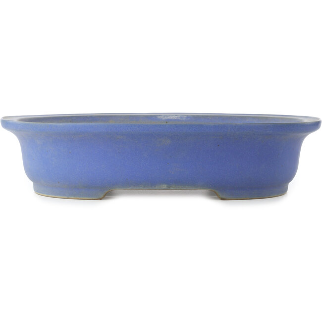 Ovaler blauer Bonsai-Topf von Reiho - 475 x 380 x 110 mm