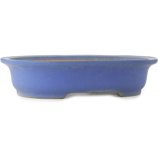 Oval blue bonsai pot by Reiho - 475 x 380 x 110 mm
