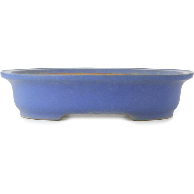Oval blue bonsai pot by Reiho - 475 x 380 x 110 mm