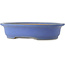 Vaso bonsai ovale blu di Reiho - 475 x 380 x 110 mm