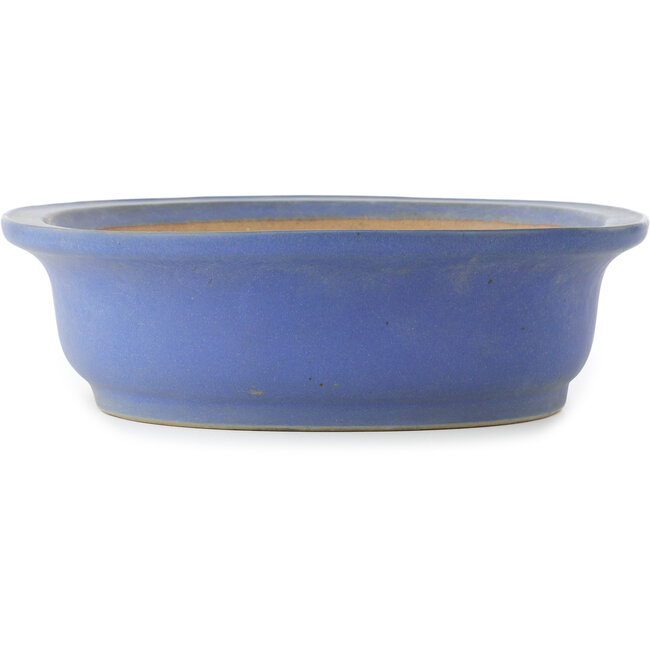 Ovale blauwe bonsai pot van Reiho - 475 x 380 x 110 mm