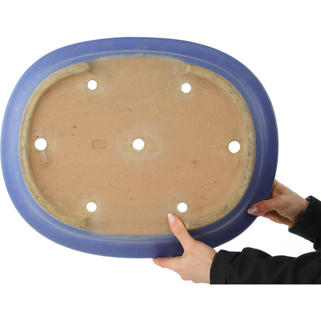 Pot à bonsaï ovale bleu de Reiho - 475 x 380 x 110 mm