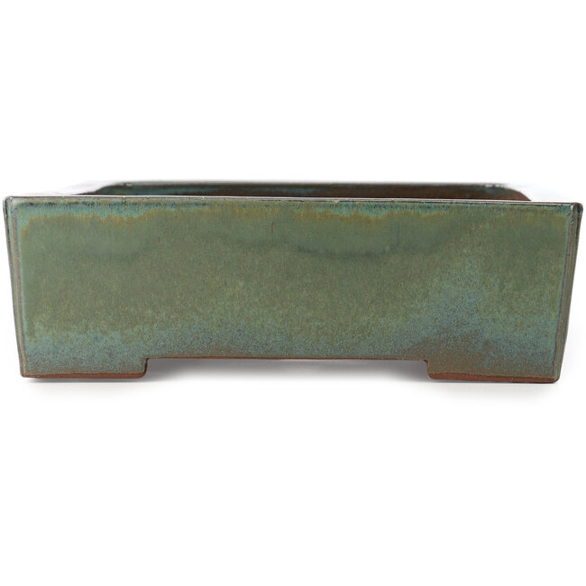 Maceta rectangular turquesa para bonsái de Kakuzan - 398 x 290 x 85 mm