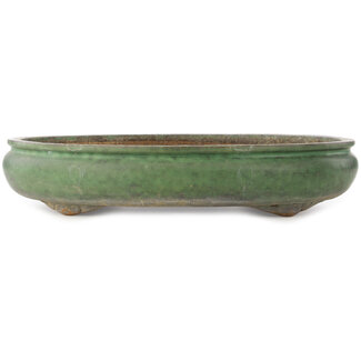  Shuuhou (Hidemi Kataoka) 470 mm ovale grüne Bonsaischale von Shuhou, Tokoname, Japan