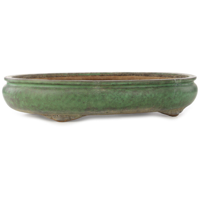 Pot à bonsaï ovale vert de Shuhou - 470 x 360 x 95 mm