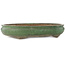 Pot à bonsaï ovale vert de Shuhou - 470 x 360 x 95 mm