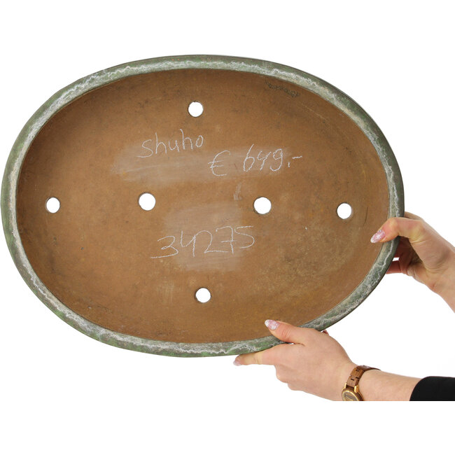 Ovale groene bonsai pot van Shuhou - 470 x 360 x 95 mm