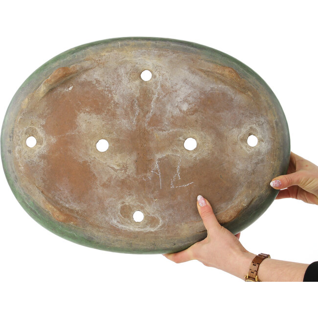 Oval green bonsai pot by Shuhou - 470 x 360 x 95 mm
