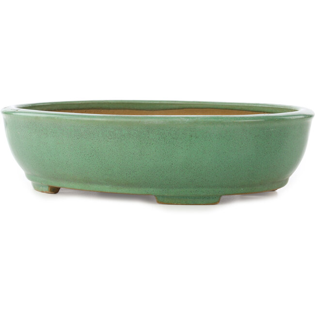 Oval green bonsai pot by Yamafusa - 345 x 270 x 85 mm