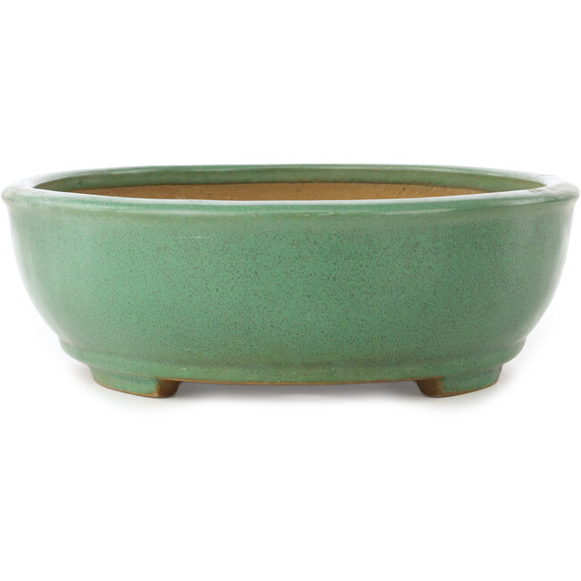 Pot à bonsaï ovale vert de Yamafusa - 345 x 270 x 85 mm