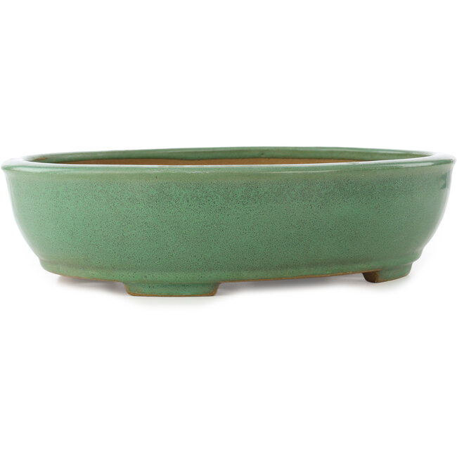 Oval green bonsai pot by Yamafusa - 345 x 270 x 85 mm