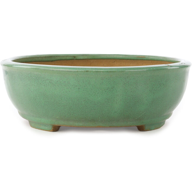 Maceta ovalada verde para bonsái de Yamafusa - 345 x 270 x 85 mm