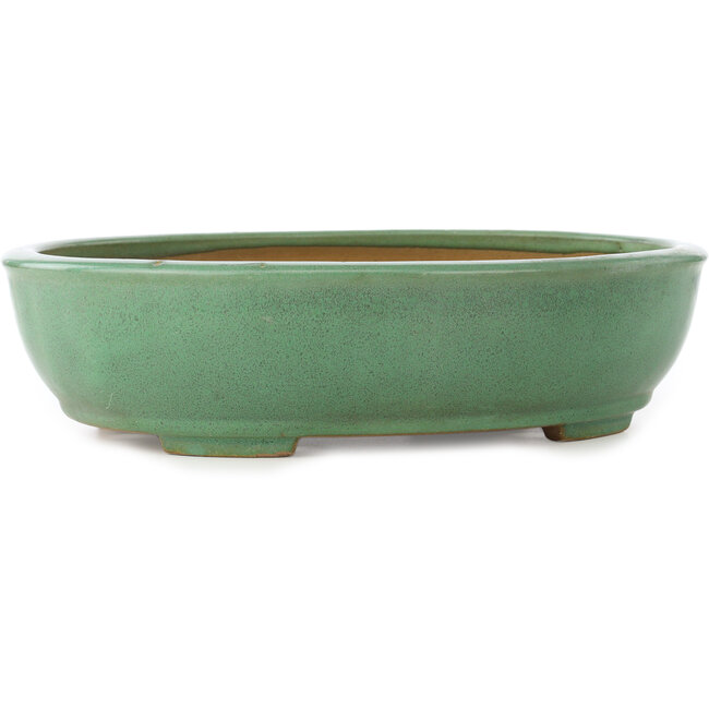 Vaso bonsai ovale verde di Yamafusa - 345 x 270 x 85 mm