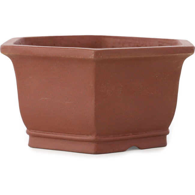 Pot à bonsaï hexagonal non émaillé de Shibakatsu - 170 x 170 x 83 mm