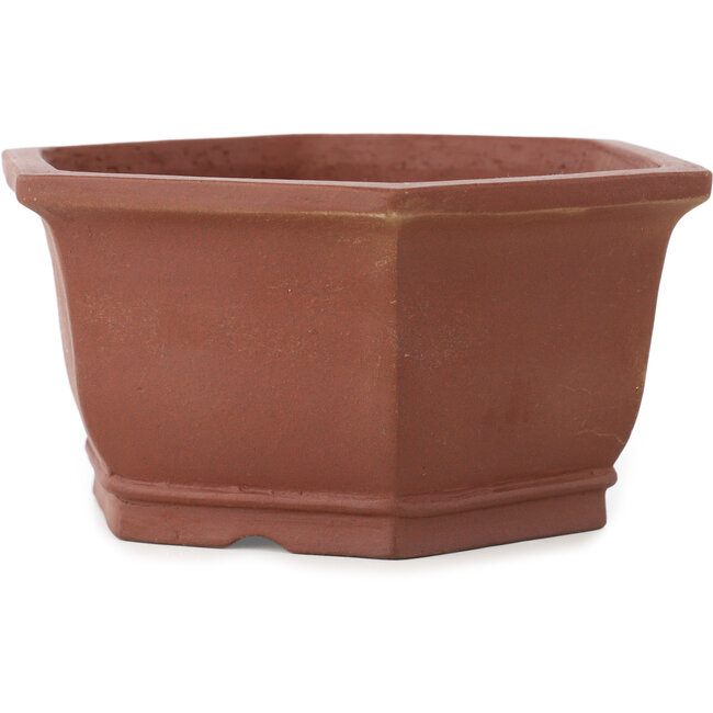 Pot à bonsaï hexagonal non émaillé de Shibakatsu - 170 x 170 x 83 mm